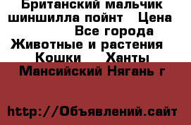 Британский мальчик шиншилла-пойнт › Цена ­ 5 000 - Все города Животные и растения » Кошки   . Ханты-Мансийский,Нягань г.